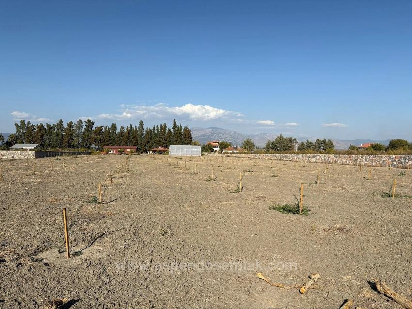 19,663 M² Farm Land And House In Eskiköy