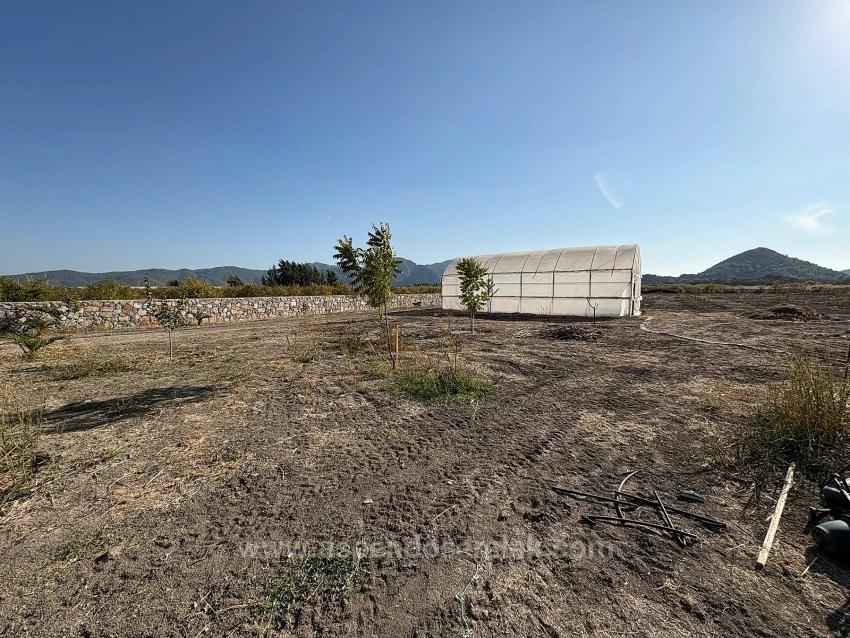 19,663 M² Farm Land And House In Eskiköy