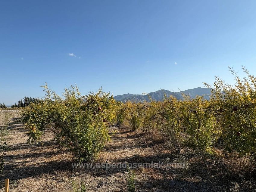 19,663 M² Farm Land And House In Eskiköy