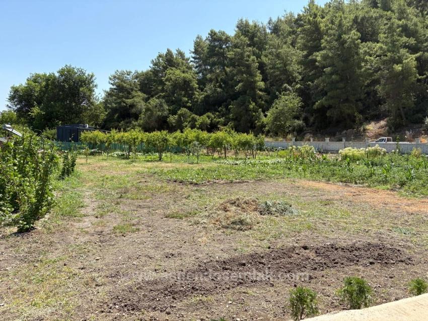 120M2 Detached Wooden House On A 2500M2 Field In Dalyan Karadağ Area