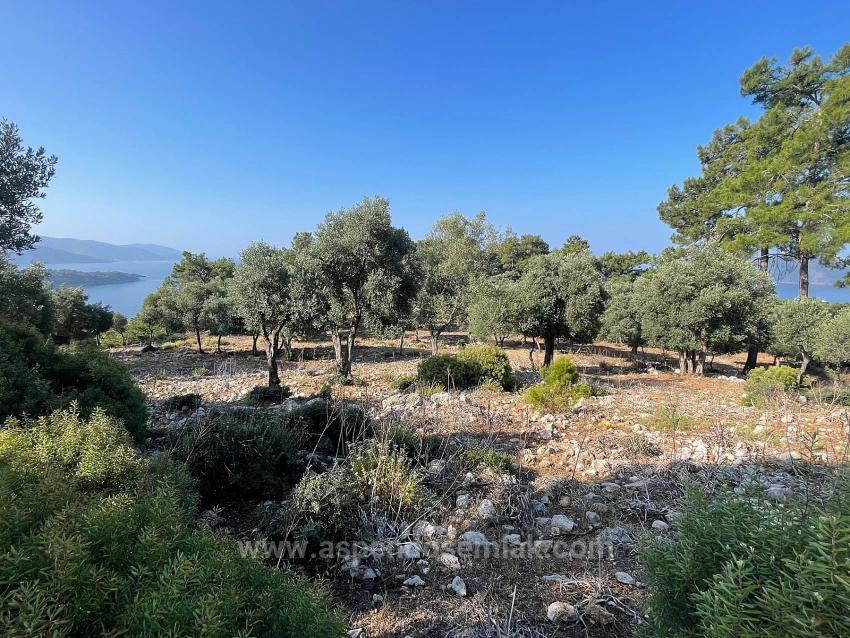 Bargain Real Estate Land For Sale With Sea View In Ekincik Çandır Arasın