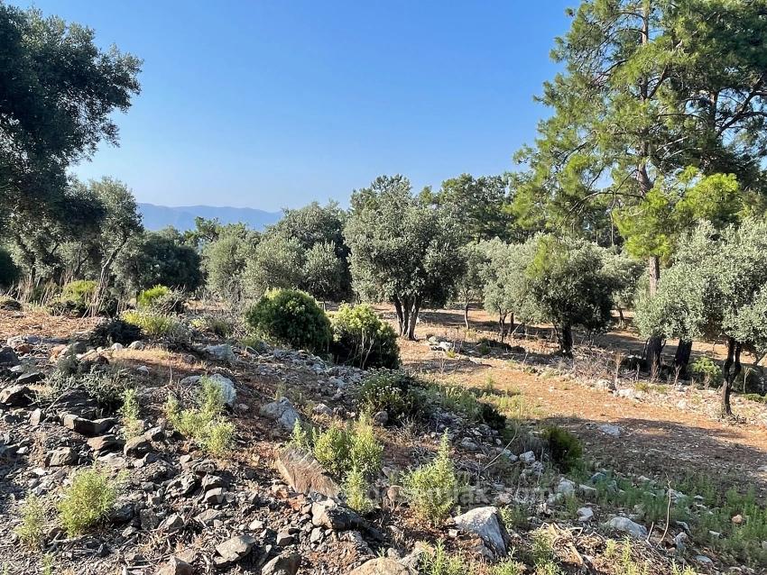 Bargain Real Estate Land For Sale With Sea View In Ekincik Çandır Arasın