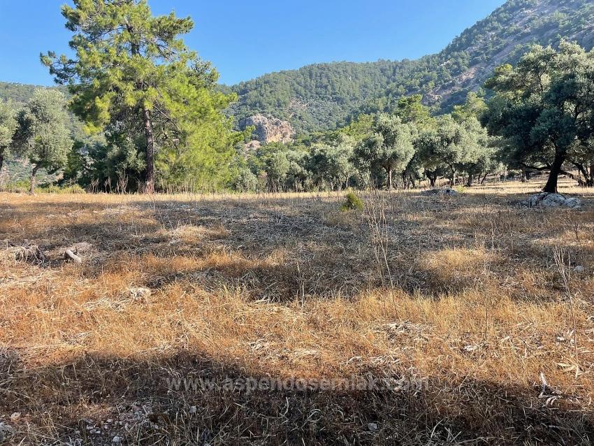 Bargain Real Estate Land For Sale With Sea View In Ekincik Çandır Arasın
