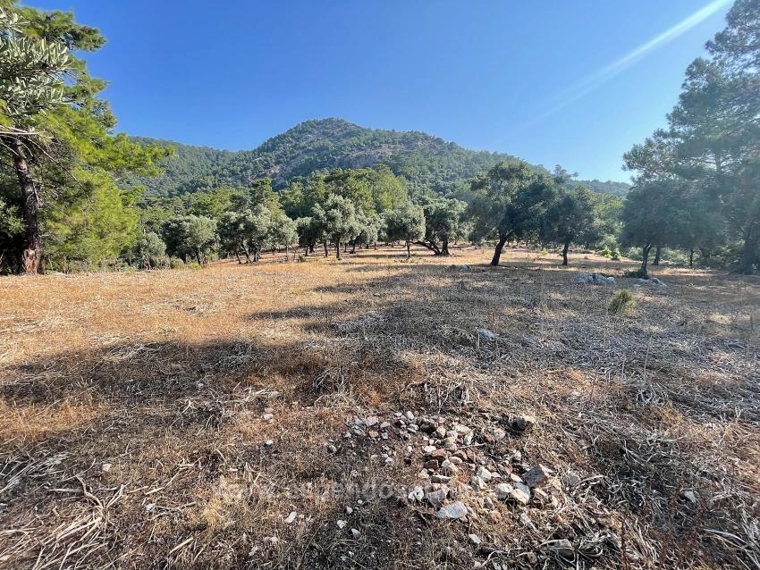Bargain Real Estate Land For Sale With Sea View In Ekincik Çandır Arasın