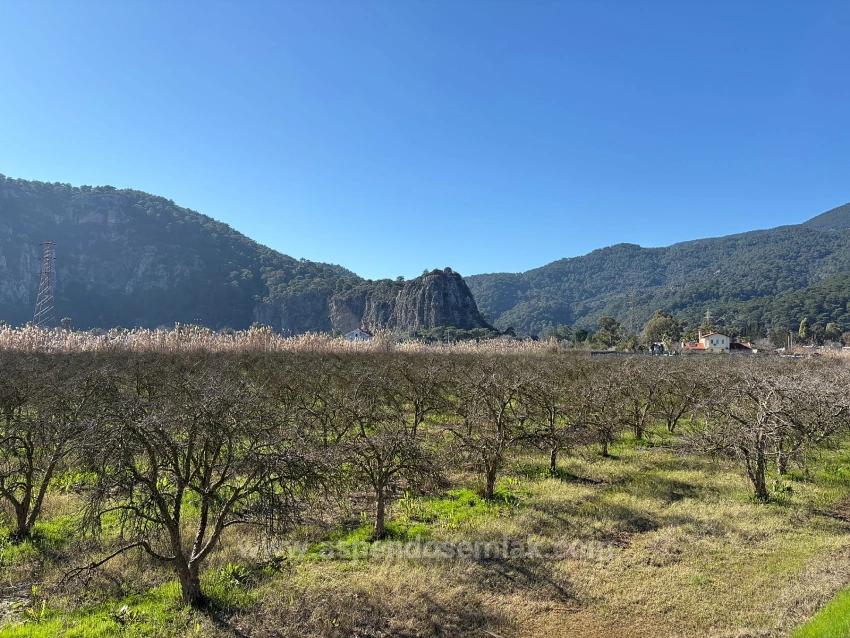 5985M2 Plot Of Land For Sale In Dalyan, Zoned For 5% Vineyard/Orchard Use.