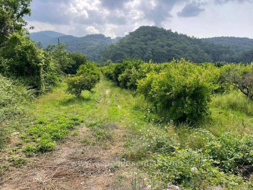 7800M2 Land For Sale In Gökbel, Next To Iztuzu Beach Road