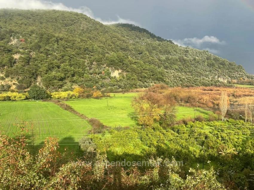 35,000 M² Farm Land For Sale In Çandır, Köyceğiz.