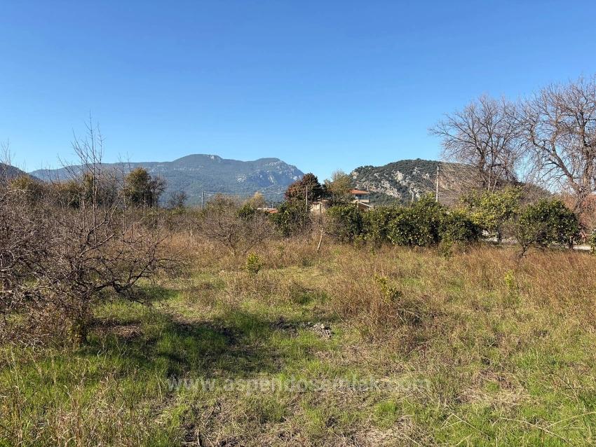 4,541 M² Garden For Sale In Dalyan.