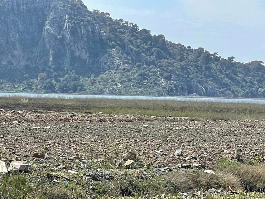 19,600 M² Plot Of Land For Sale, Located Directly On The Road To Dalyan Iztuzu Beach.