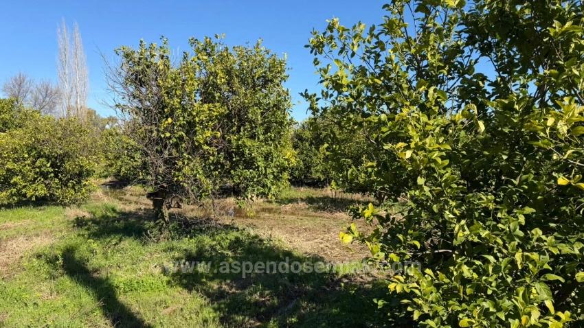 2.218M2 Land For Sale In Okçular Marmarlı