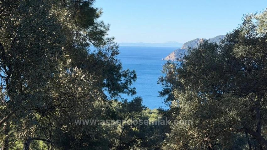 2B Field Of 5715M2 For Sale With Full Sea View In Çandır