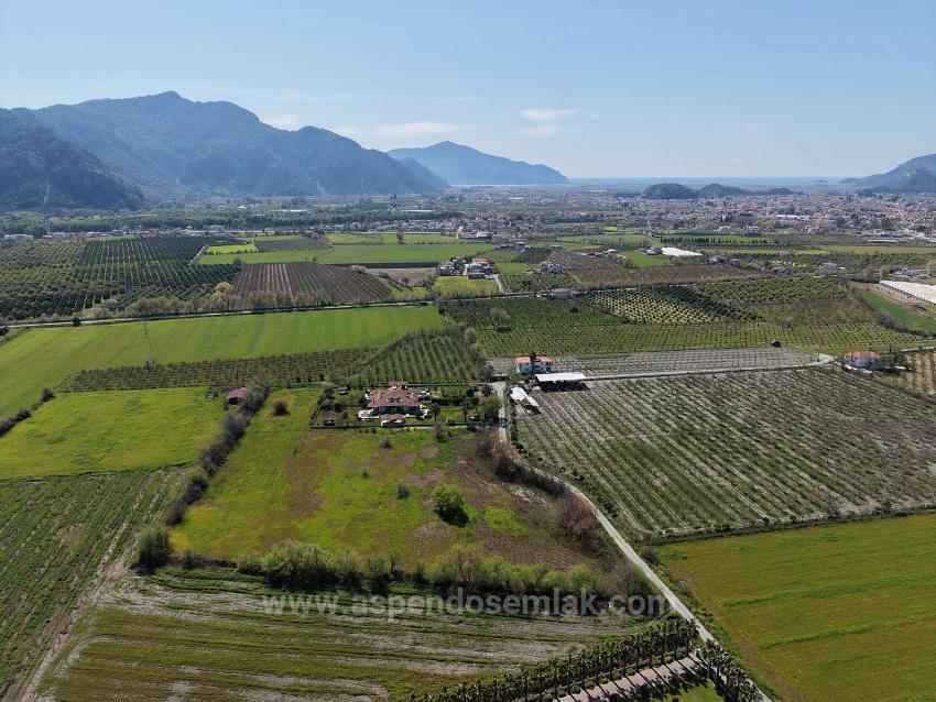 17.550M2 Vineyard-Bahce For Sale Close To Dalyan Center