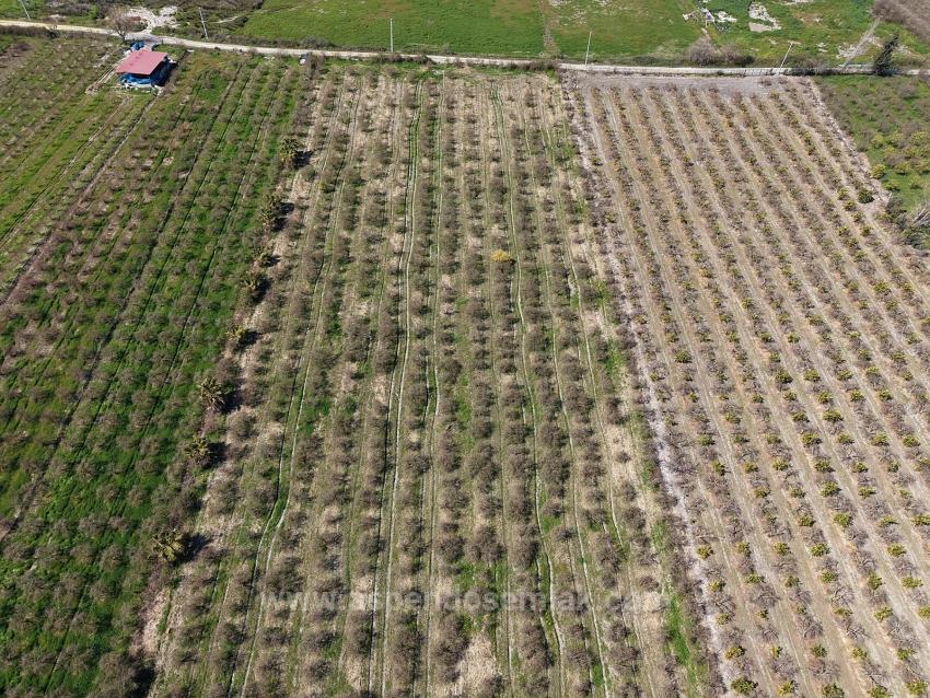 16.710M2 Pomegranate Garden For Sale With Lake View In Eskiköy