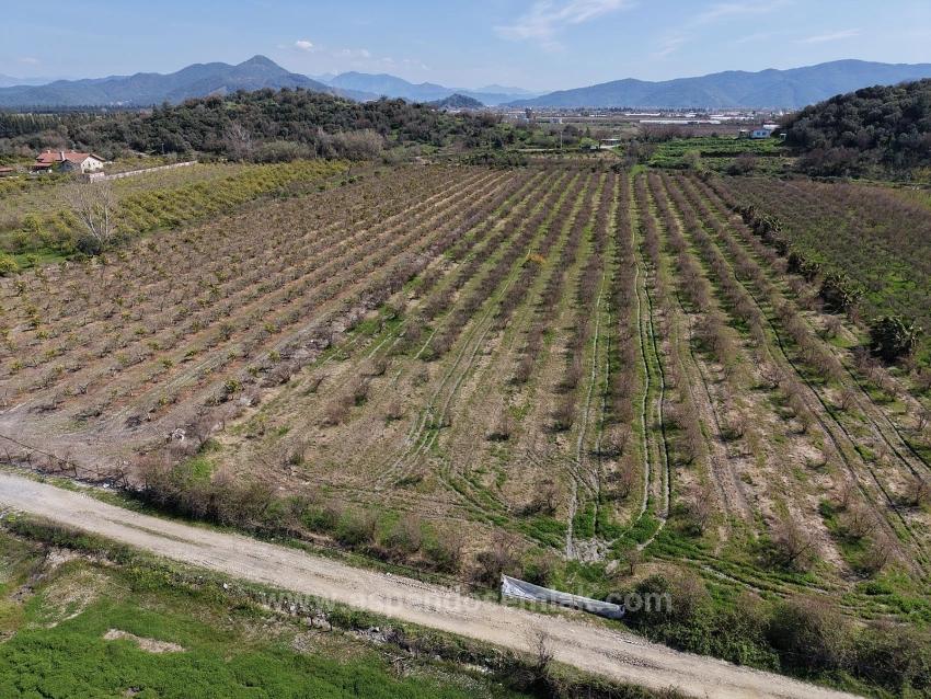 16.710M2 Pomegranate Garden For Sale With Lake View In Eskiköy