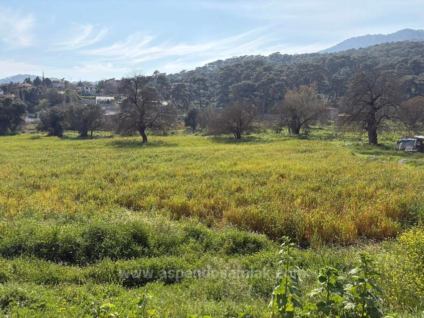 2,023 M² Plot Of Land For Sale In Çandır Village, Köyceğiz, With Shared Ownership And Voluntary Partition.