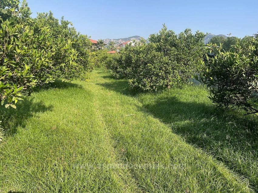 722M2 Land For Sale In Dalyan Gülpınar