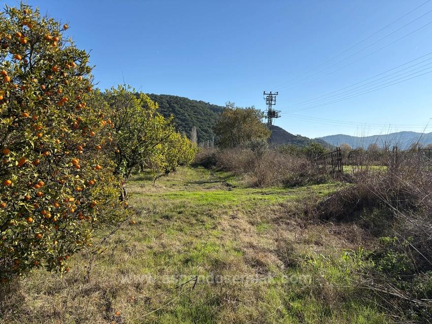 23,000 M² Detached Land For Sale In Tepearası.