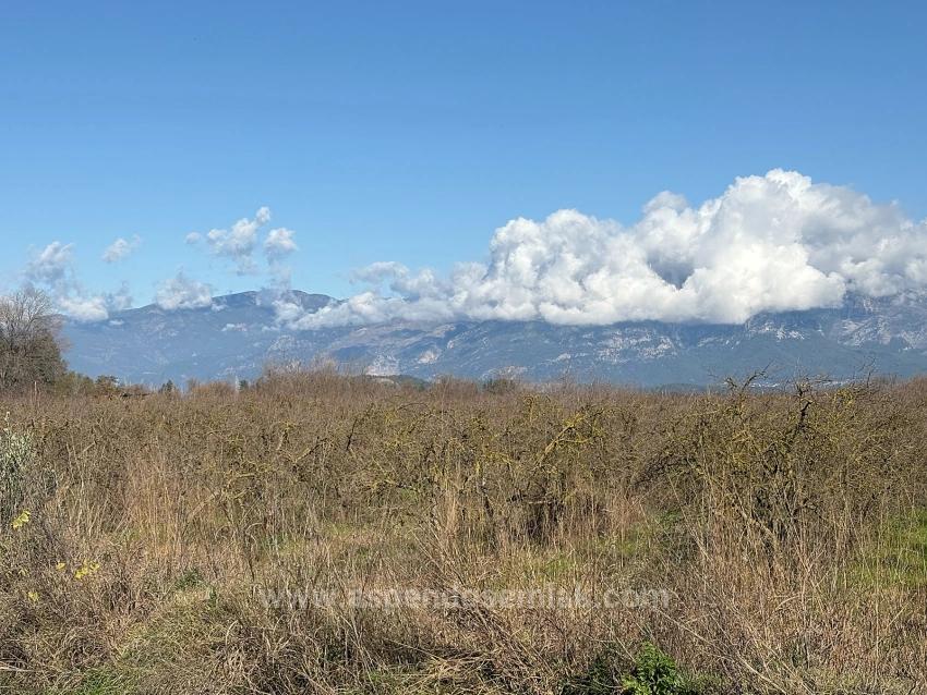 23,000M2 Detached Field And Garden For Sale In Tepearasın