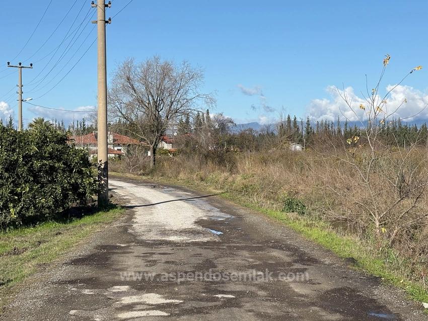23,000M2 Detached Field And Garden For Sale In Tepearasın