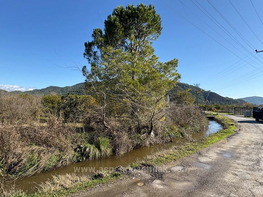 23,000M2 Detached Field And Garden For Sale In Tepearasın