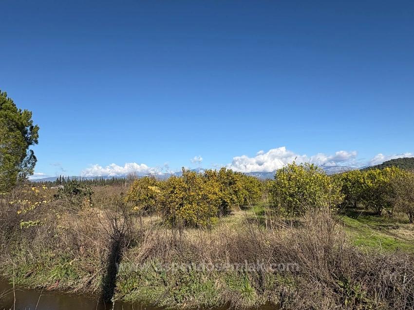 23,000 M² Detached Land For Sale In Tepearası.