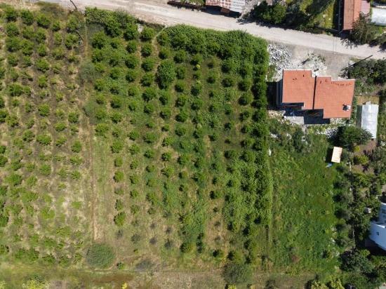 Land For Sale In Okçular, 1050m2, In The Village Residential Area.