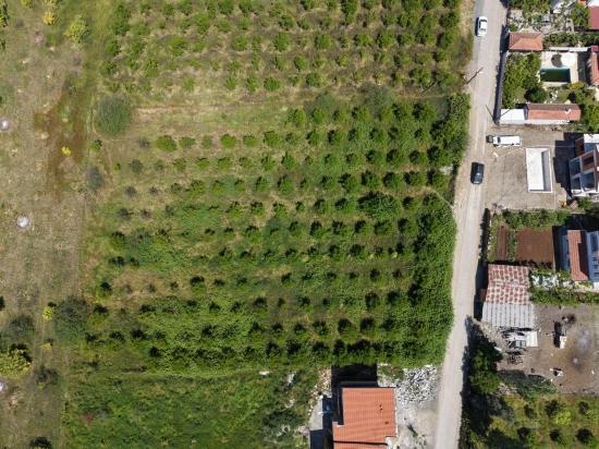 Land For Sale In Okçular, 1050m2, In The Village Residential Area.