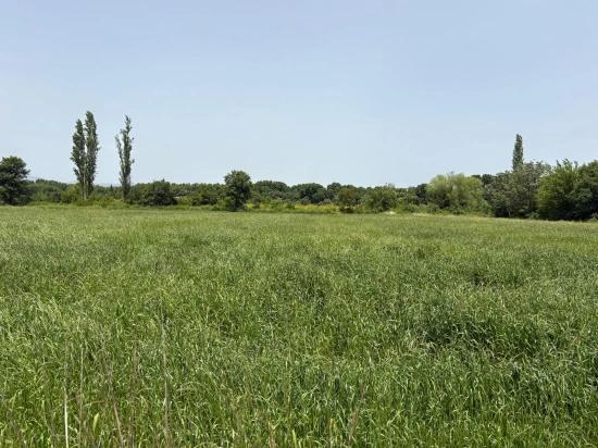 2100 M2 Plot Of Land For Sale In Okçular Marmaris.