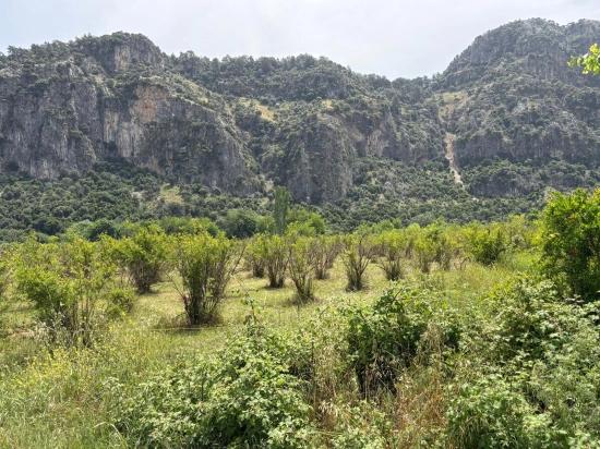 2100 M2 Plot Of Land For Sale In Okçular Marmaris.