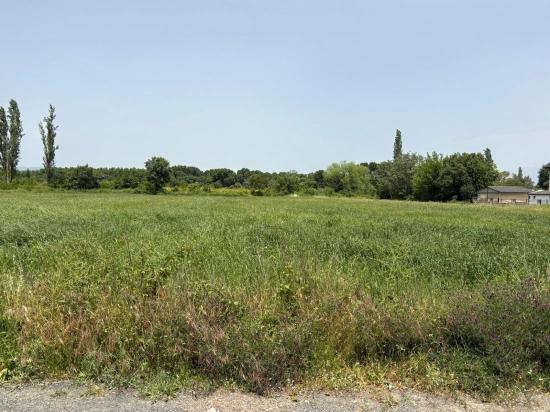 2100 M2 Plot Of Land For Sale In Okçular Marmaris.