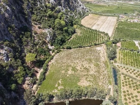 In Dalyan, a 20.786m2 field for sale