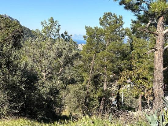 1000m2 Land For Sale With Sea View In Gökbel Village Residential Area