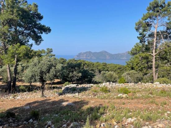Bargain Real Estate Land For Sale With Sea View In Ekincik Çandır Arasın