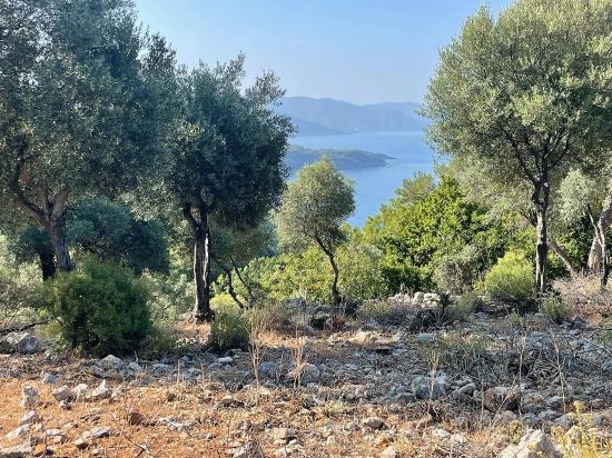 Bargain Real Estate Land For Sale With Sea View In Ekincik Çandır Arasın