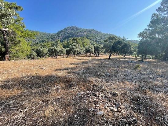 Bargain Real Estate Land For Sale With Sea View In Ekincik Çandır Arasın