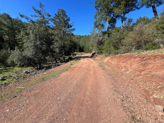 Land For Sale In Gökbel, Surrounded By Nature And Forest.
