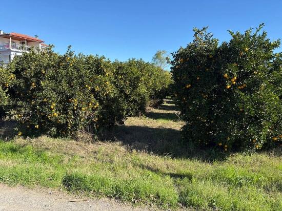 Land For Sale In Ekşiliyurt, With Zoning Permit, Within A 1085m2 Built-up Area.