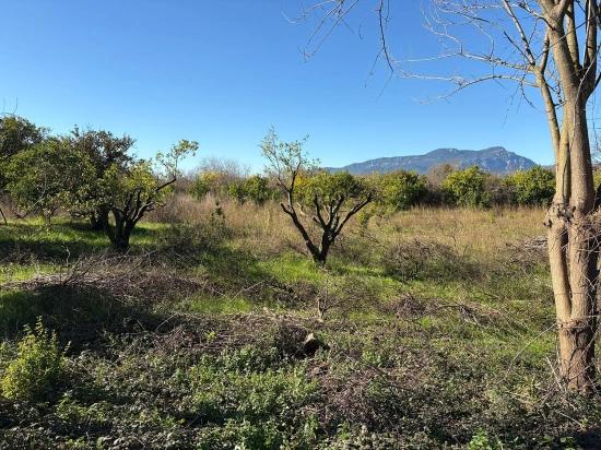 Land For Sale In Ekşiliyurt, With Zoning Permit, Within A 1085m2 Built-up Area.