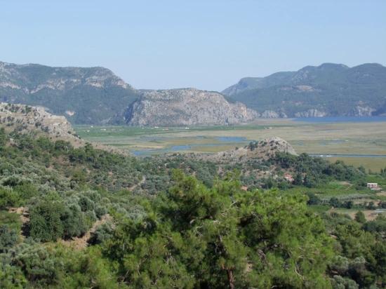 19,334 M² Plot Of Land For Sale In Çandır, Köyceğiz.