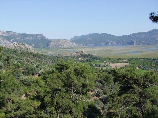 19,334 M² Plot Of Land For Sale In Çandır, Köyceğiz.