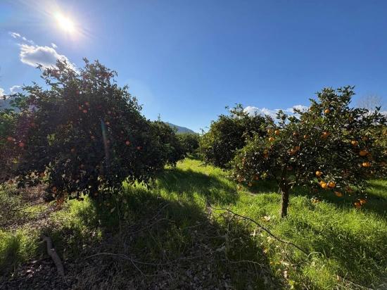 4,326 M² Plot Of Land For Sale In The Residential Area Of Okçular.