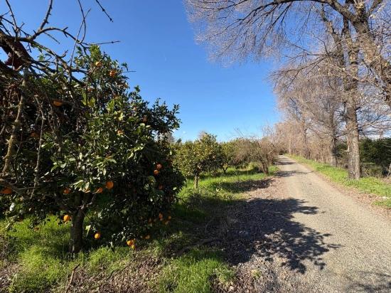 4,326 M² Plot Of Land For Sale In The Residential Area Of Okçular.
