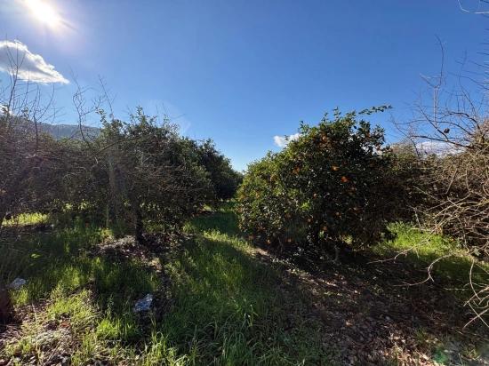 4,326 M² Plot Of Land For Sale In The Residential Area Of Okçular.