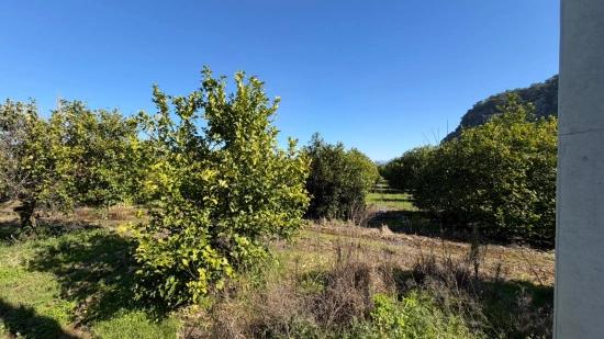 2.218m2 Land For Sale In Okçular Marmarlı