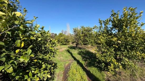 2.218m2 Land For Sale In Okçular Marmarlı
