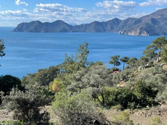 Çandır 20.000m2 2b For Sale With Full Sea View