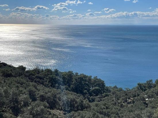 Çandır 20.000m2 2b For Sale With Full Sea View