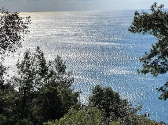 Çandır 20.000m2 2b For Sale With Full Sea View