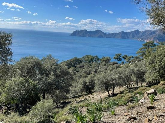 Çandır 20.000m2 2b For Sale With Full Sea View