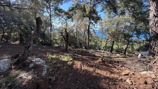 2b Field Of 5715m2 For Sale With Full Sea View In Çandır